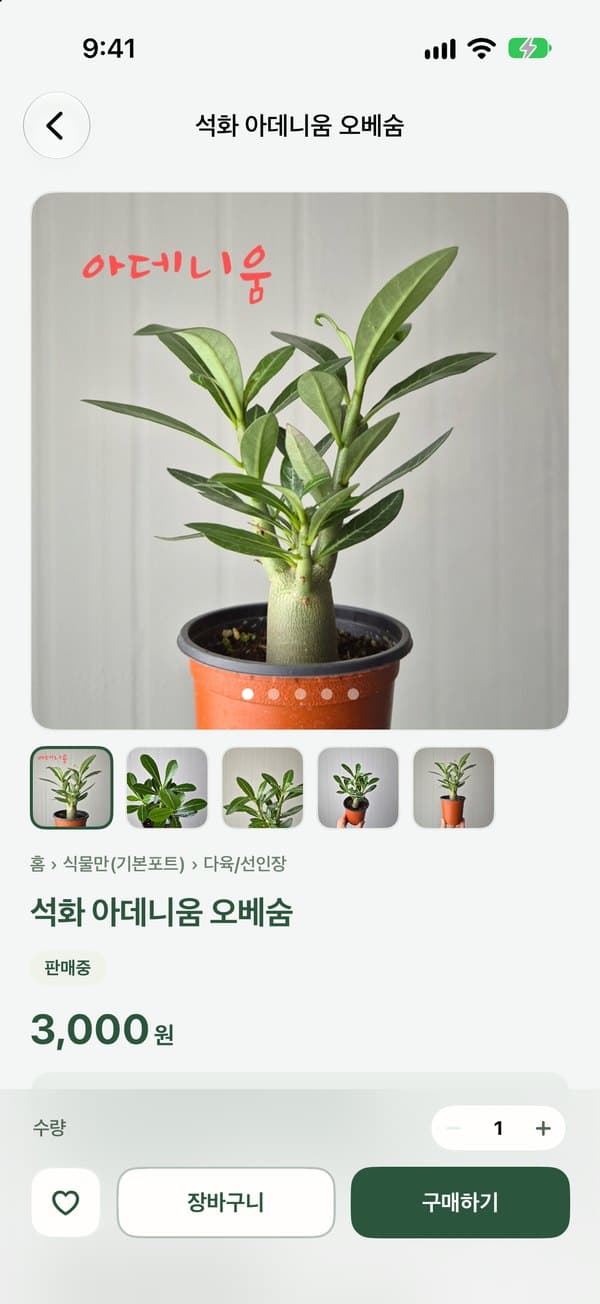 피움뜰 스크린샷 3